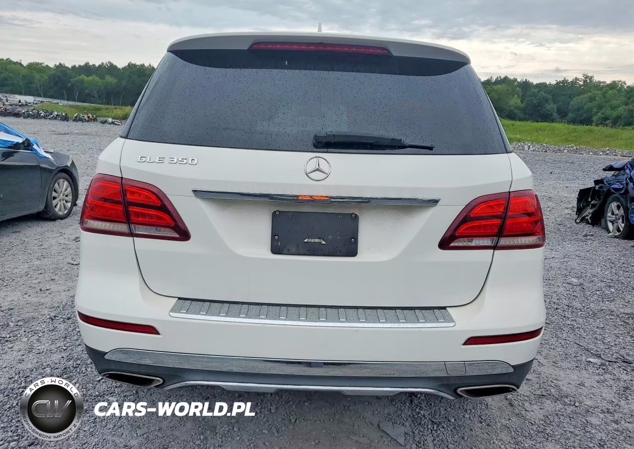 2017 Mercedes-Benz Gle 350 VIN:4JGDA5JB4HA815301 - 6