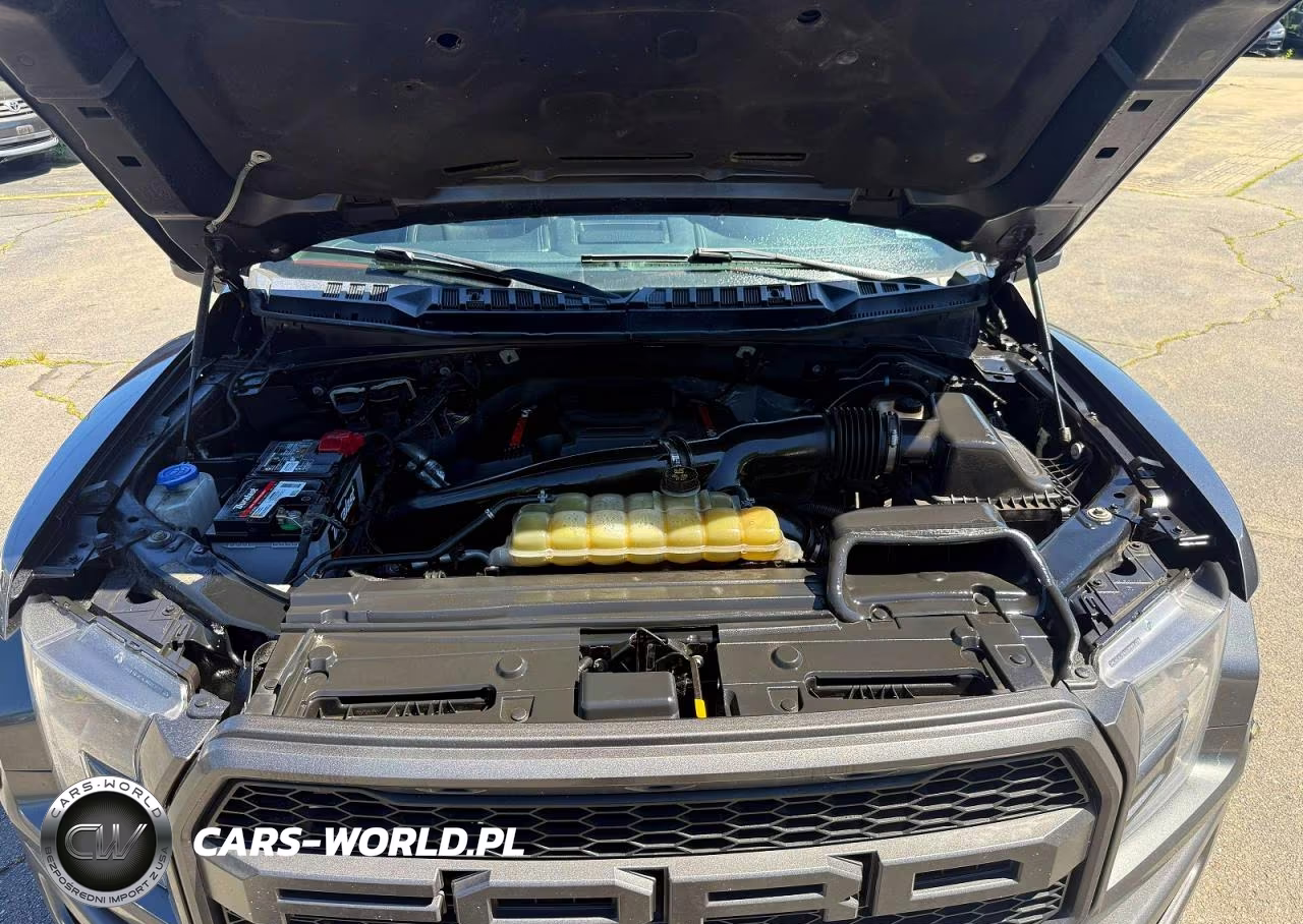 2019 Ford F150 Raptor VIN:1FTFW1RG3KFB67810 - 13