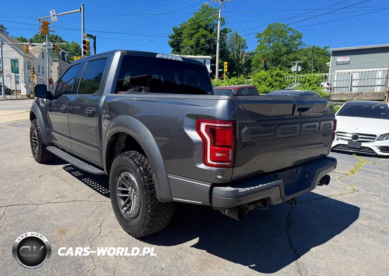 2019 Ford F150 Raptor VIN:1FTFW1RG3KFB67810 - 2