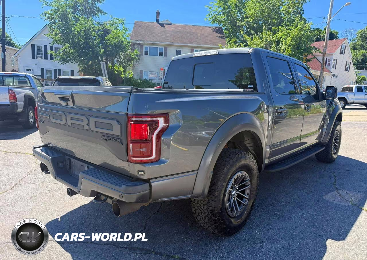 2019 Ford F150 Raptor VIN:1FTFW1RG3KFB67810 - 3