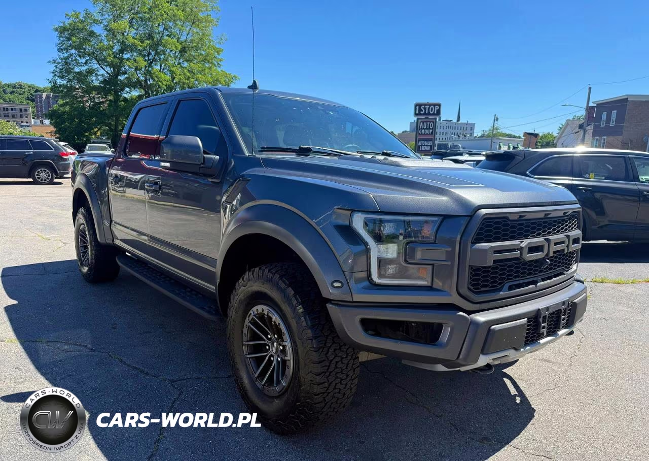 2019 Ford F150 Raptor VIN:1FTFW1RG3KFB67810 - 4