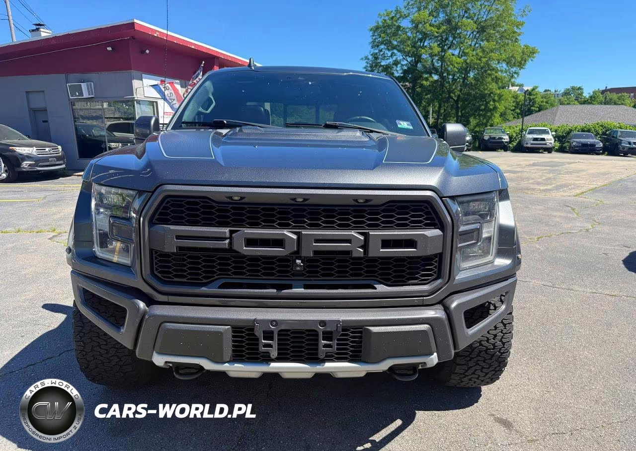 2019 Ford F150 Raptor VIN:1FTFW1RG3KFB67810 - 5