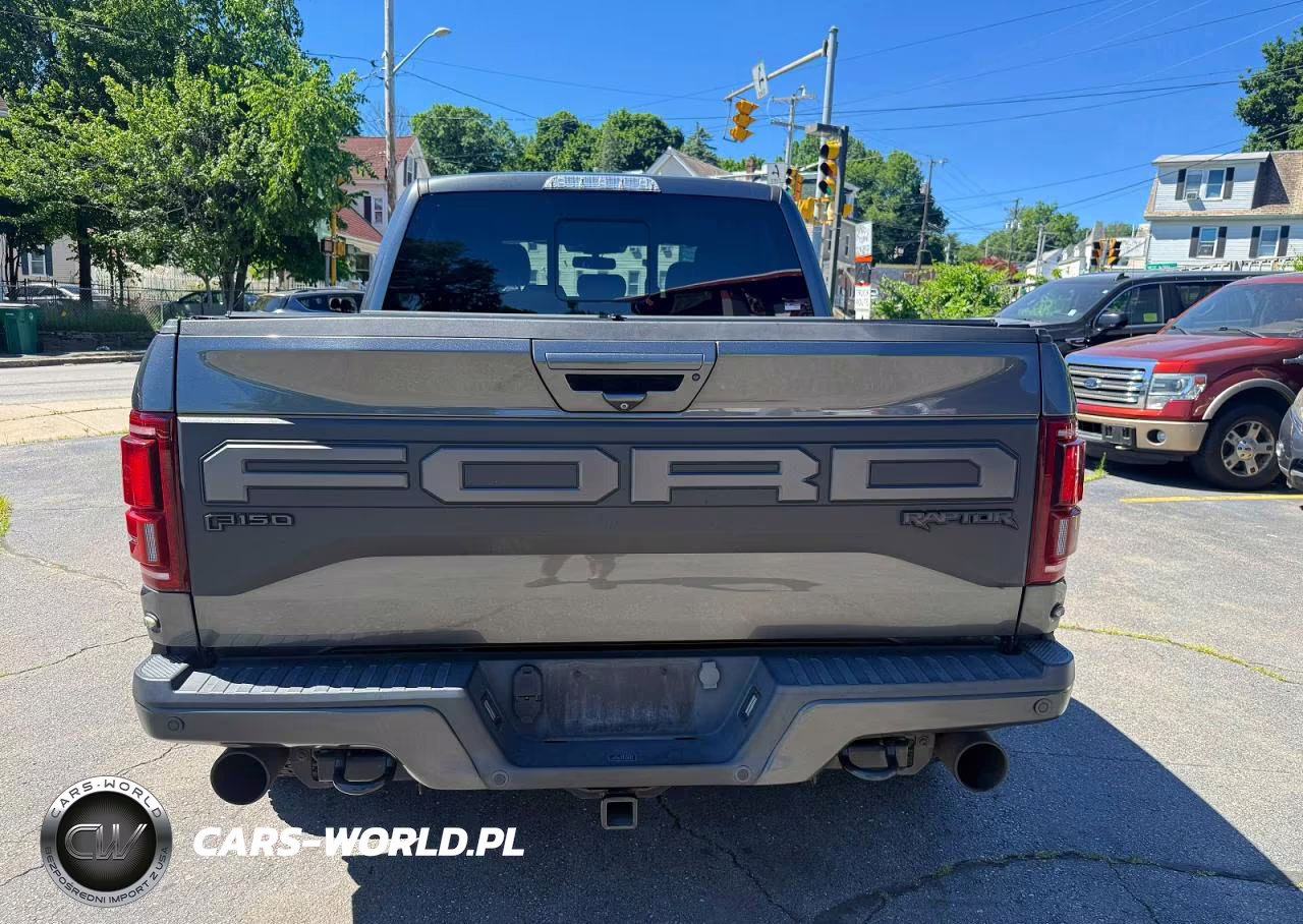 2019 Ford F150 Raptor VIN:1FTFW1RG3KFB67810 - 6