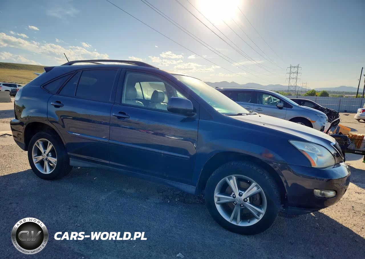 2007 Lexus Rx 400H VIN:JTJHW31U172020080 - 4