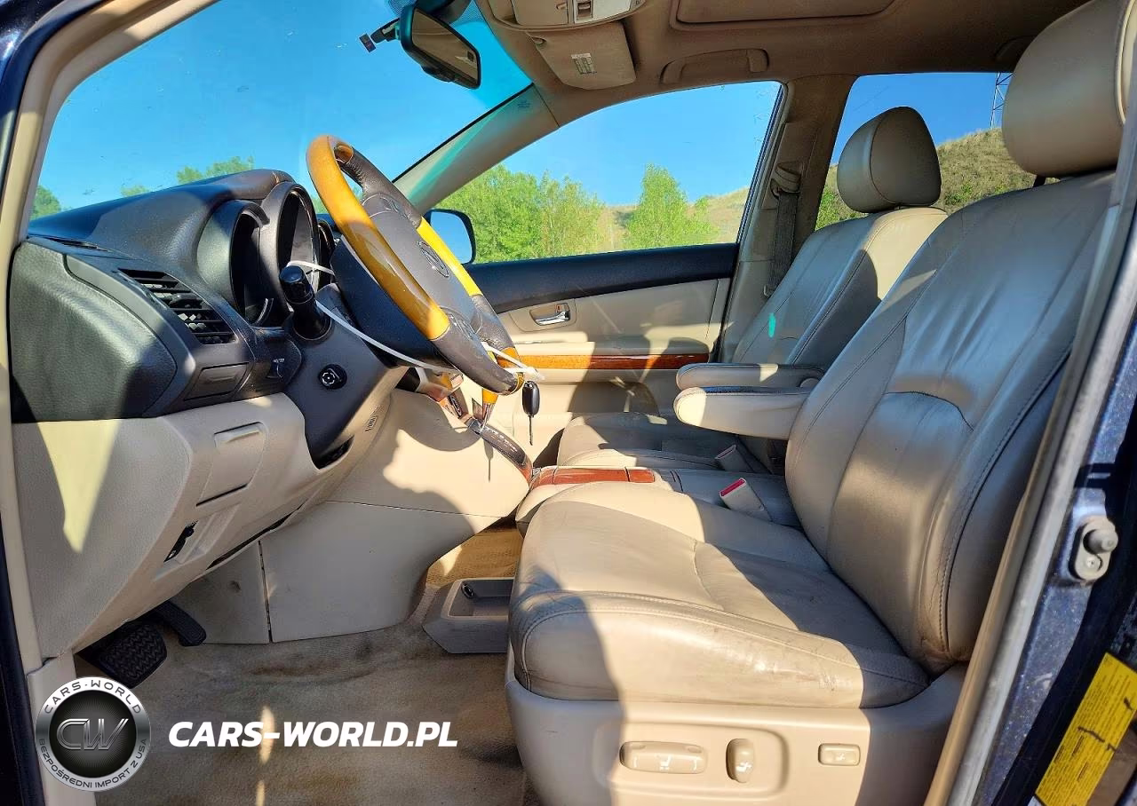 2007 Lexus Rx 400H VIN:JTJHW31U172020080 - 7
