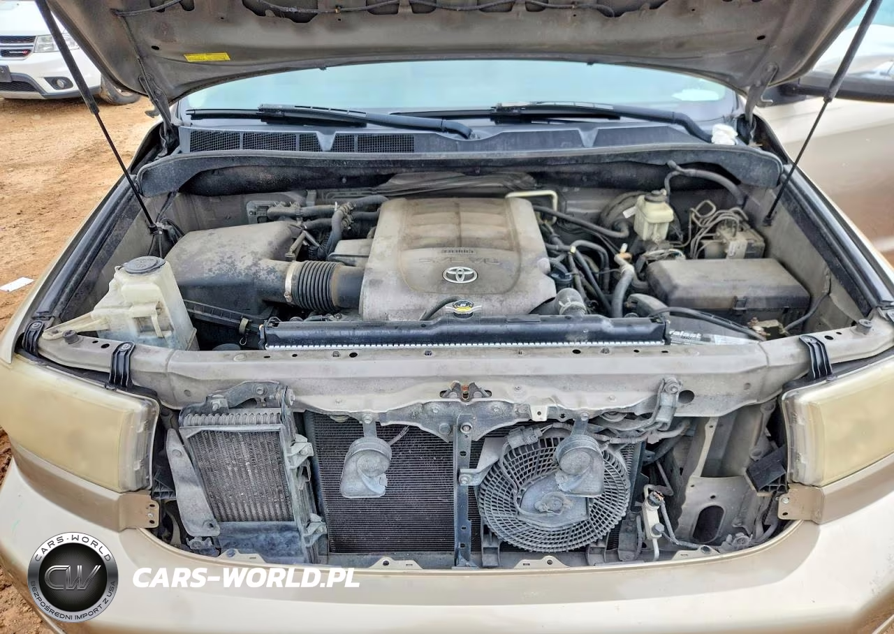 2008 Toyota Seqouia VIN:5TDZY68A18S007967 - 12