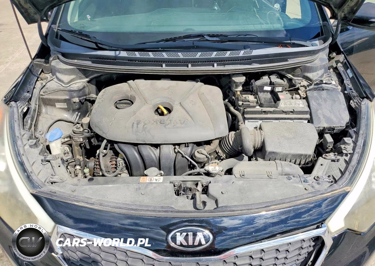 2014 Kia Forte Lx VIN:KNAFX4A61E5076933 - 11
