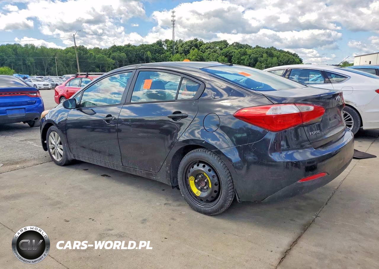 2014 Kia Forte Lx VIN:KNAFX4A61E5076933 - 2