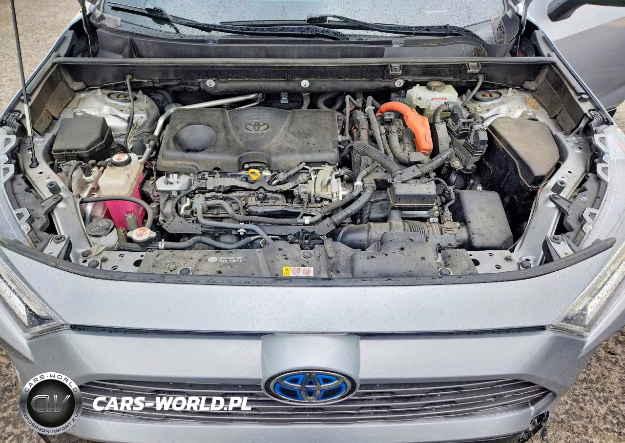 2019 Toyota Rav4 Xse VIN:JTMEWRFV6KJ006846 - 12