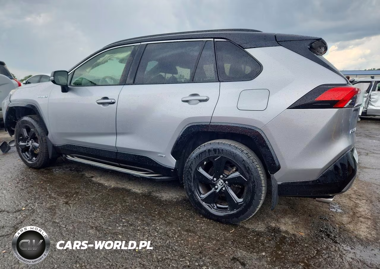 2019 Toyota Rav4 Xse VIN:JTMEWRFV6KJ006846 - 2