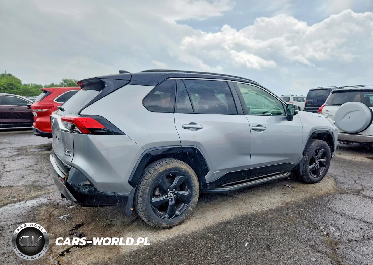 2019 Toyota Rav4 Xse VIN:JTMEWRFV6KJ006846 - 3
