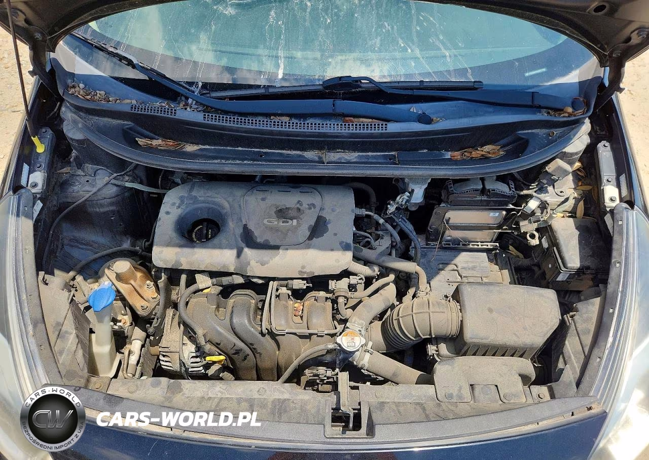 2017 Kia Rio Lx VIN:KNADM4A30H6017196 - 11
