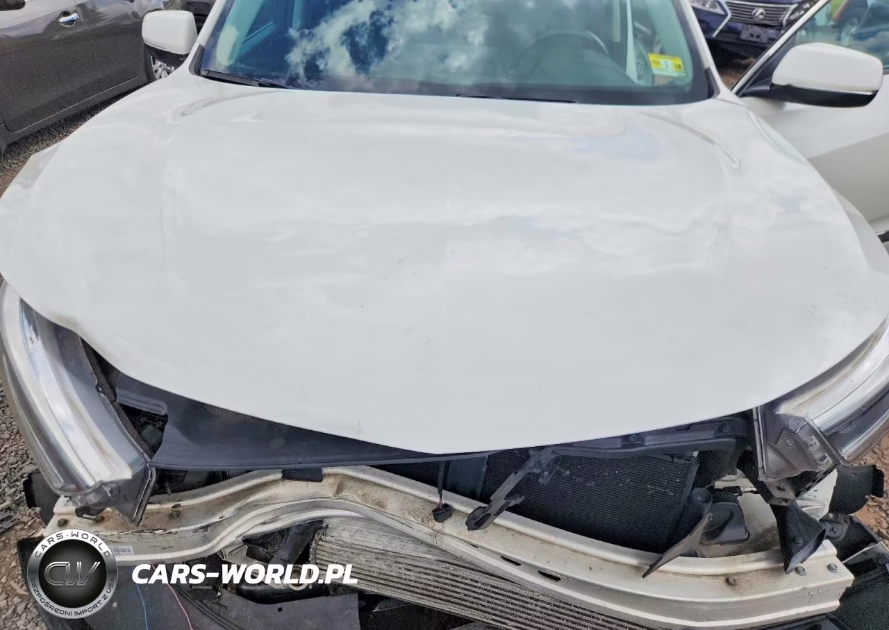 2019 Acura Rdx VIN:5J8TC2H37KL031490 - 12