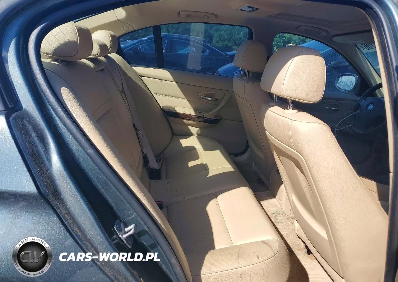 2010 BMW 328 Xi Sulev VIN:WBAPK5C50AA647679 - 10