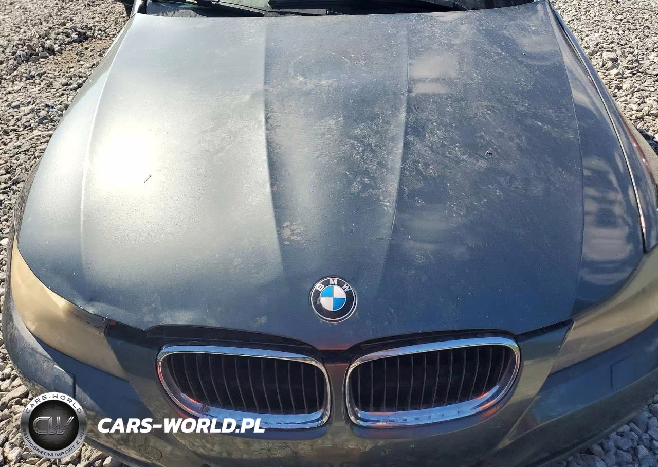 2010 BMW 328 Xi Sulev VIN:WBAPK5C50AA647679 - 11