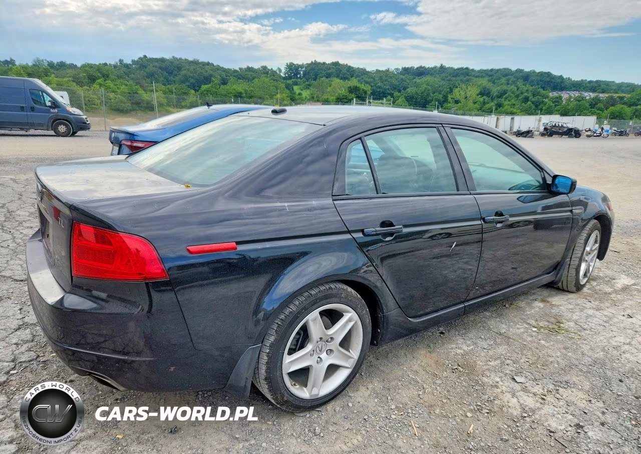 2006 Acura 3.2Tl VIN:19UUA65516A072819 - 3
