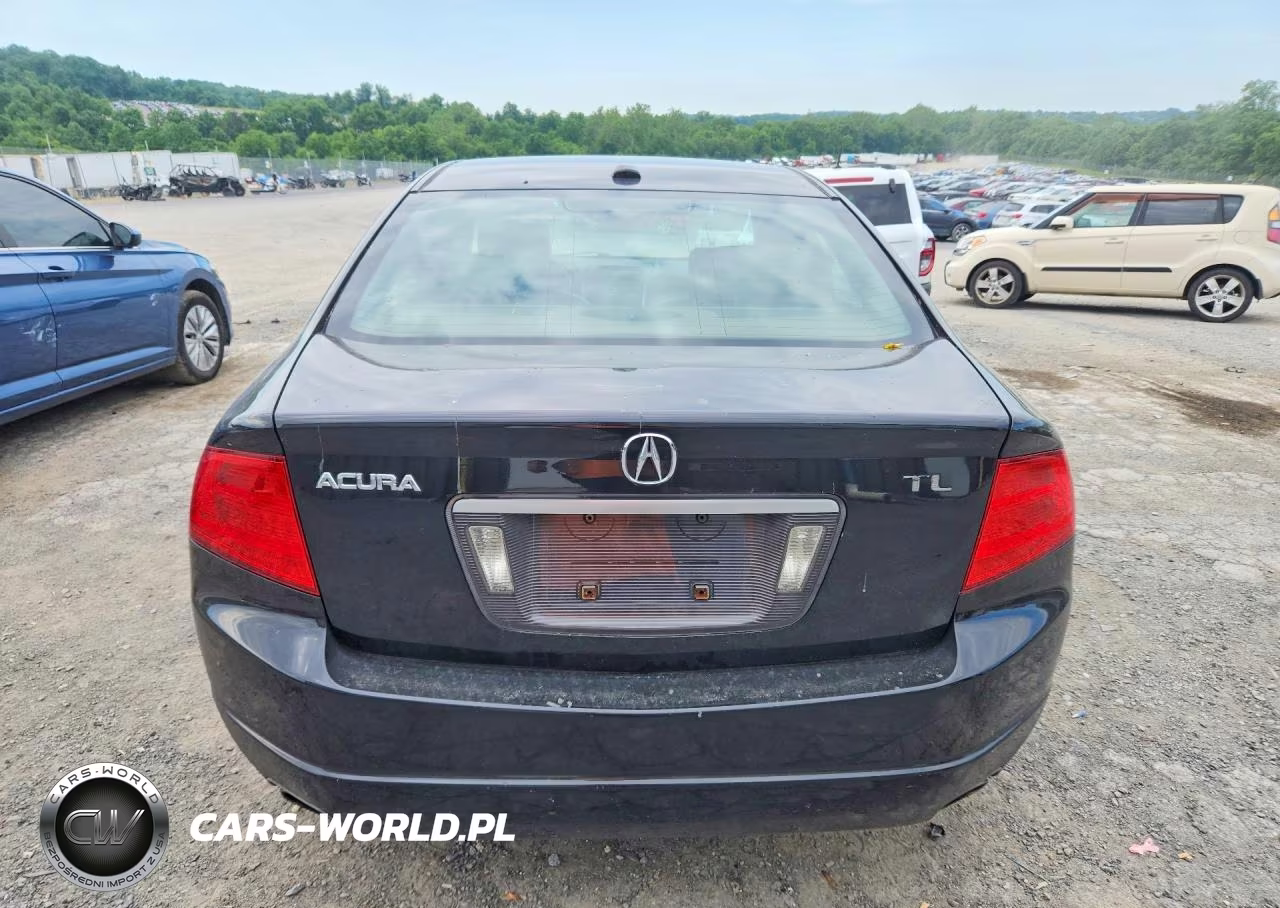2006 Acura 3.2Tl VIN:19UUA65516A072819 - 6