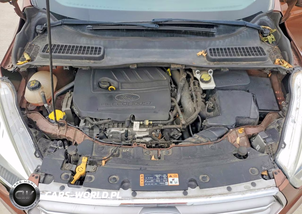 2017 Ford Escape Se VIN:1FMCU0GD5HUC64647 - 12