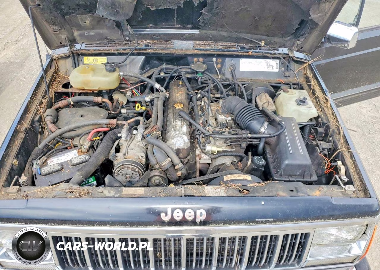 1989 Jeep Cherokee Laredo VIN:1J4FJ58L6KL596486 - 11