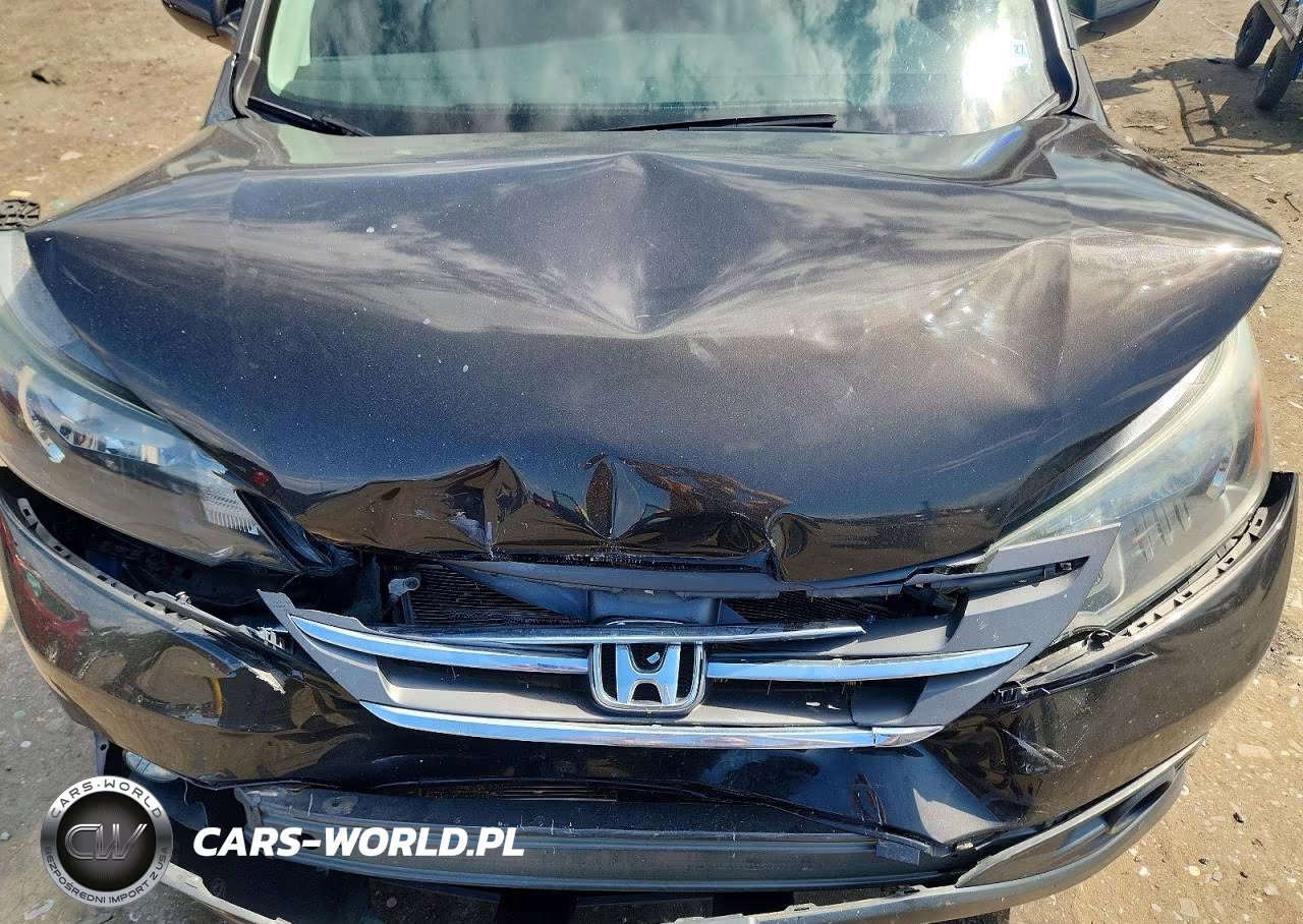 2014 Honda Cr-V Exl VIN:5J6RM4H75EL044757 - 12
