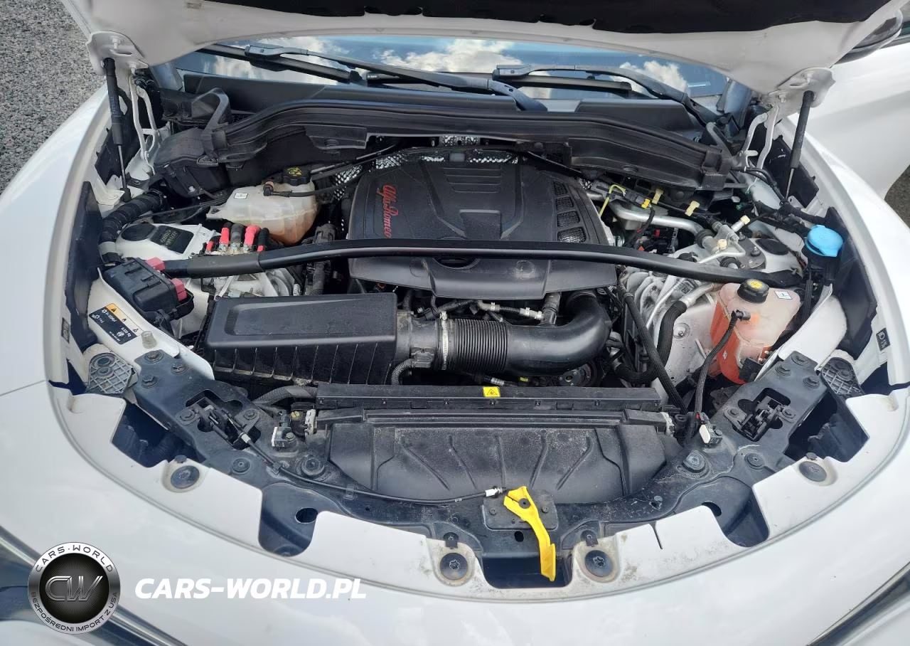 2020 Alfa Romeo Stelvio VIN:ZASPAJAN7L7C88825 - 11