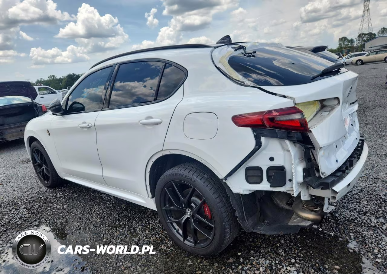 2020 Alfa Romeo Stelvio VIN:ZASPAJAN7L7C88825 - 2
