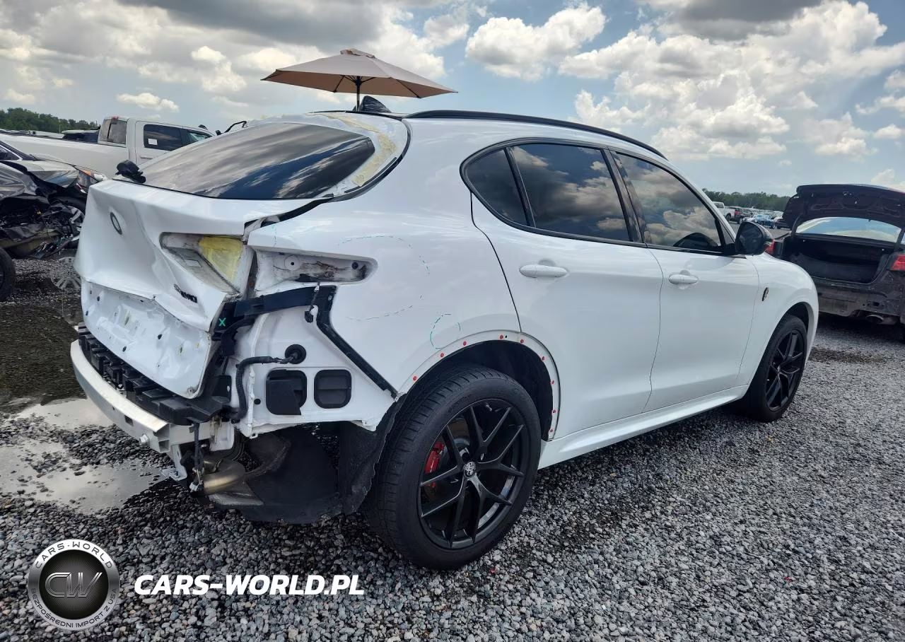 2020 Alfa Romeo Stelvio VIN:ZASPAJAN7L7C88825 - 3