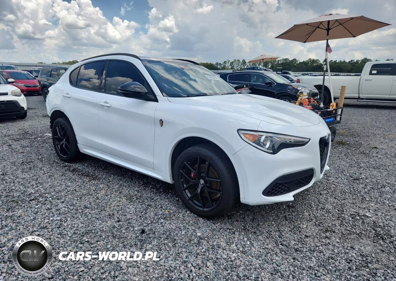 2020 Alfa Romeo Stelvio VIN:ZASPAJAN7L7C88825 - 4