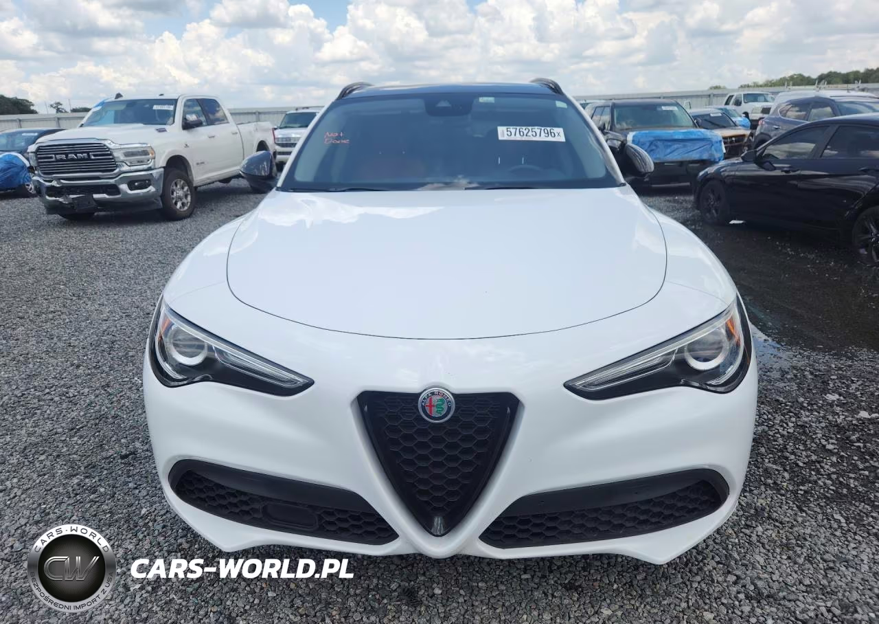 2020 Alfa Romeo Stelvio VIN:ZASPAJAN7L7C88825 - 5