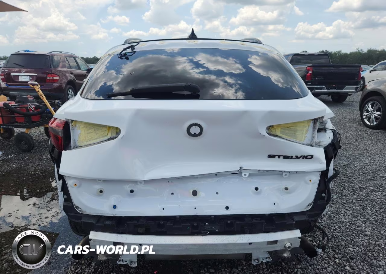 2020 Alfa Romeo Stelvio VIN:ZASPAJAN7L7C88825 - 6
