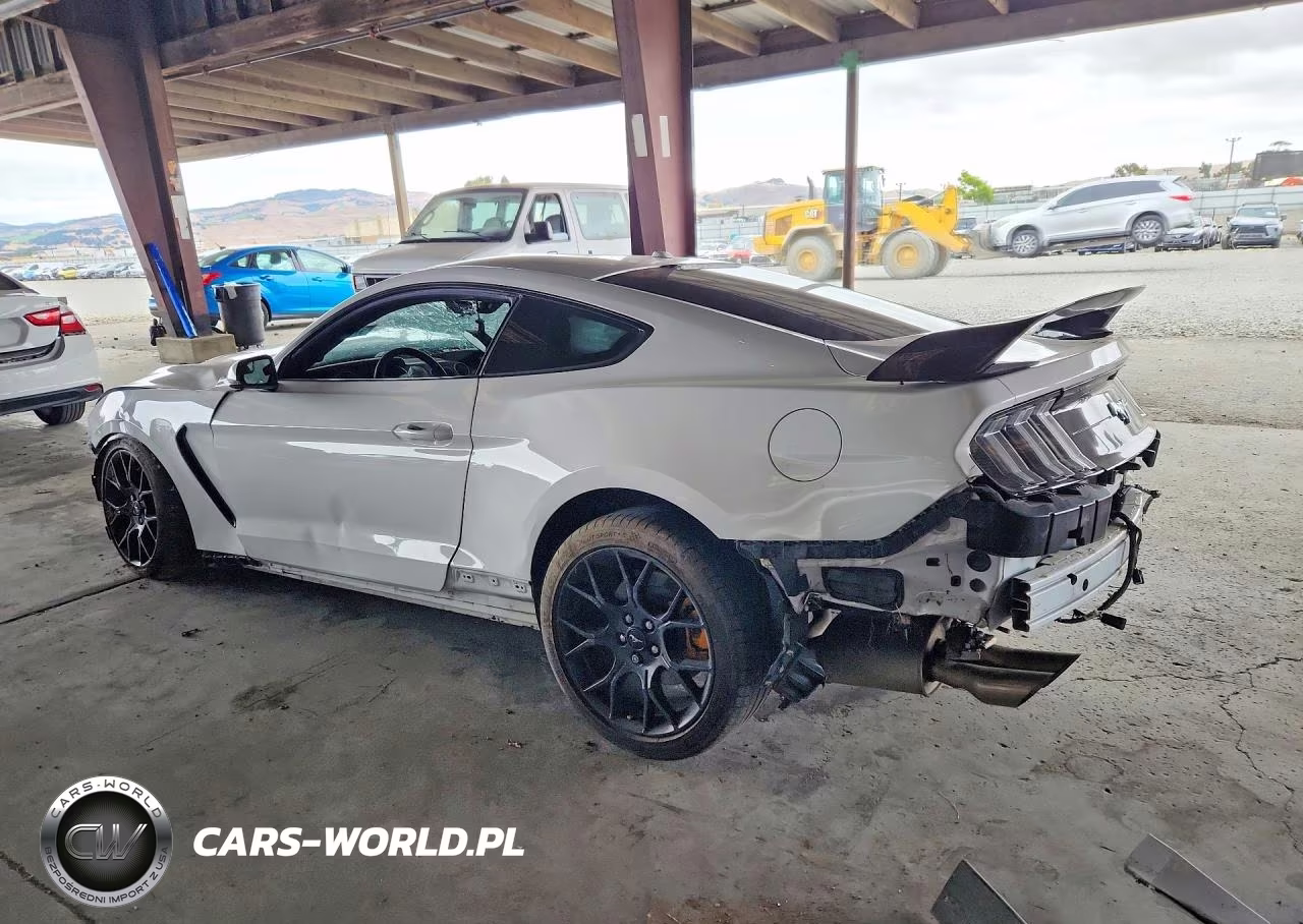 2019 Ford Mustang VIN:1FA6P8TH5K5161316 - 2