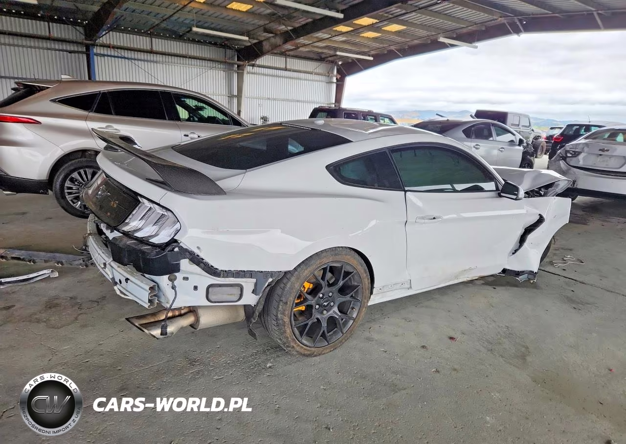 2019 Ford Mustang VIN:1FA6P8TH5K5161316 - 3