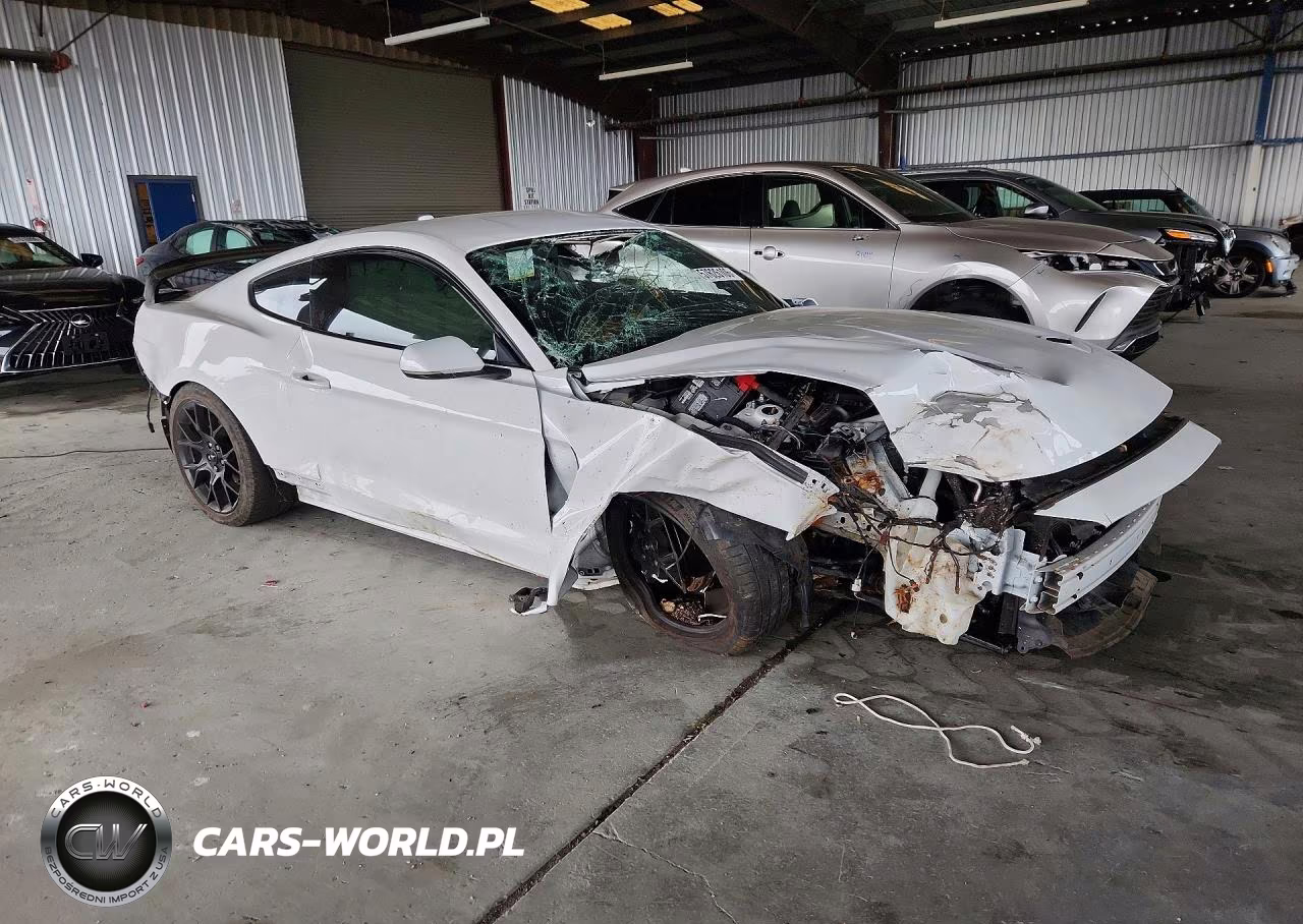 2019 Ford Mustang VIN:1FA6P8TH5K5161316 - 4
