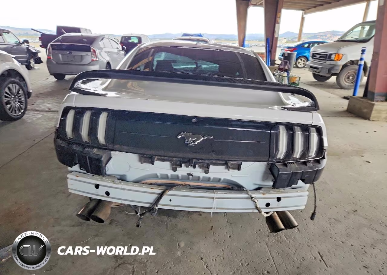 2019 Ford Mustang VIN:1FA6P8TH5K5161316 - 6