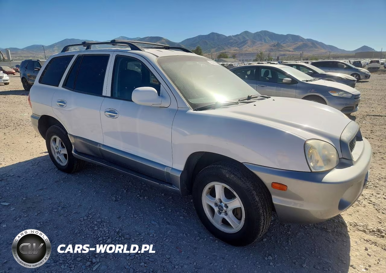 2003 Hyundai Santa Fe Gls VIN:KM8SC73D03U416078 - 4