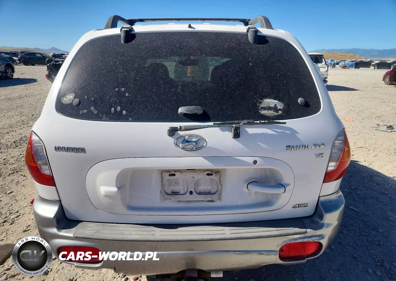 2003 Hyundai Santa Fe Gls VIN:KM8SC73D03U416078 - 6