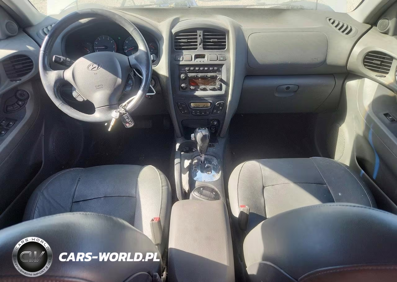 2003 Hyundai Santa Fe Gls VIN:KM8SC73D03U416078 - 8