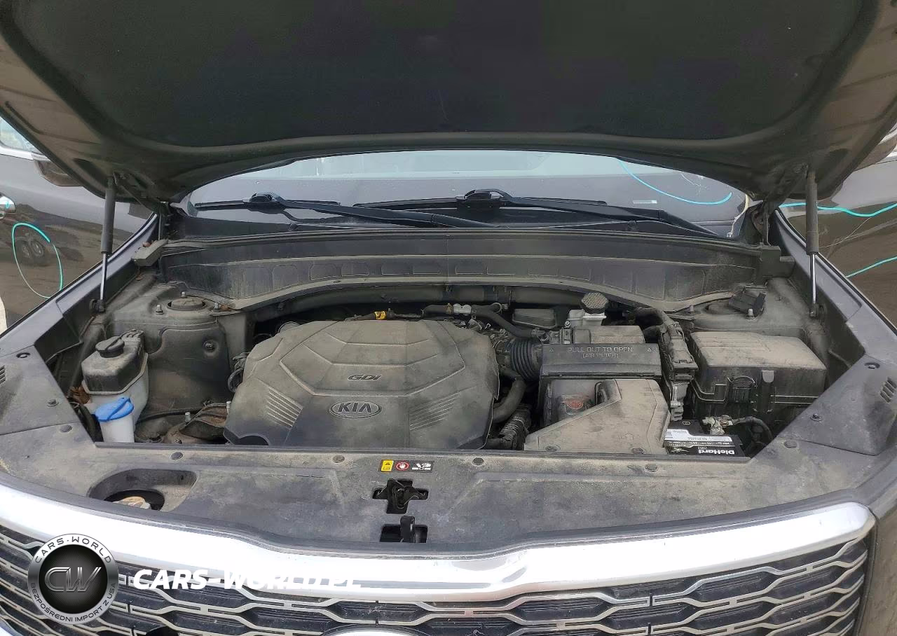 2020 Kia Telluride Sx VIN:5XYP5DHC5LG088032 - 12