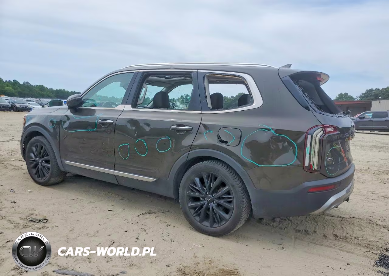 2020 Kia Telluride Sx VIN:5XYP5DHC5LG088032 - 2