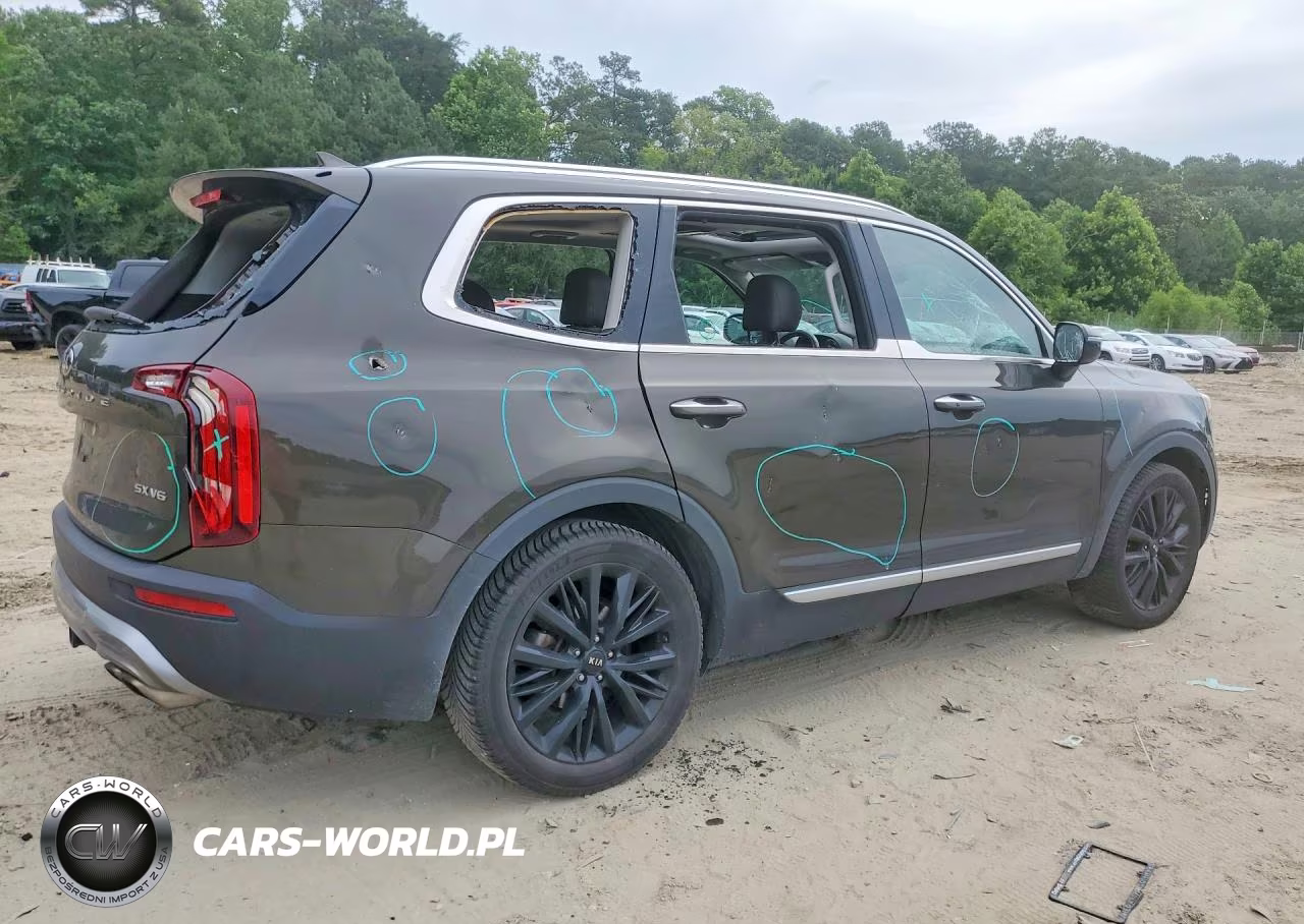 2020 Kia Telluride Sx VIN:5XYP5DHC5LG088032 - 3