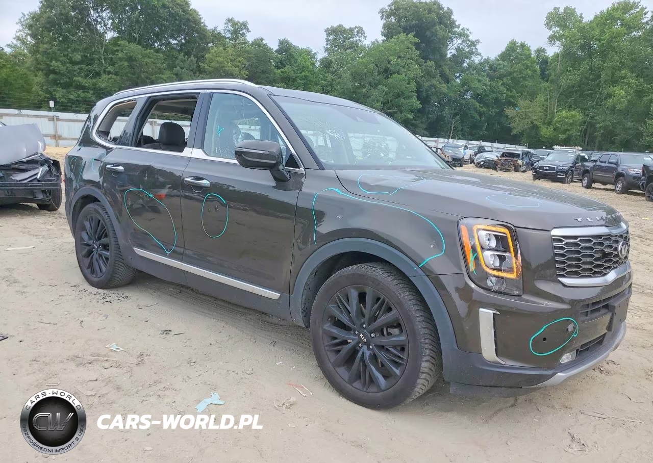 2020 Kia Telluride Sx VIN:5XYP5DHC5LG088032 - 4