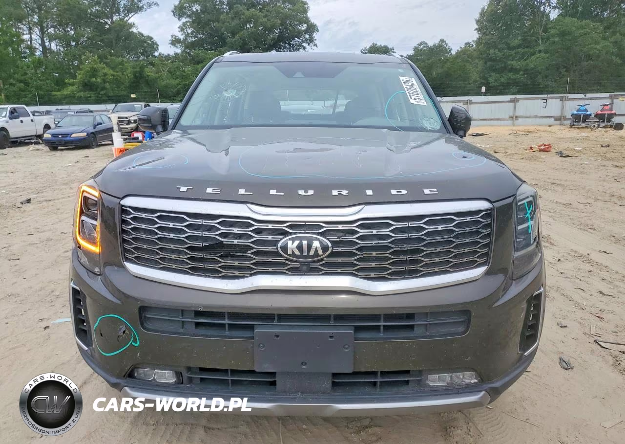 2020 Kia Telluride Sx VIN:5XYP5DHC5LG088032 - 5