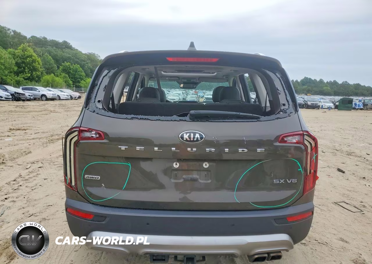 2020 Kia Telluride Sx VIN:5XYP5DHC5LG088032 - 6