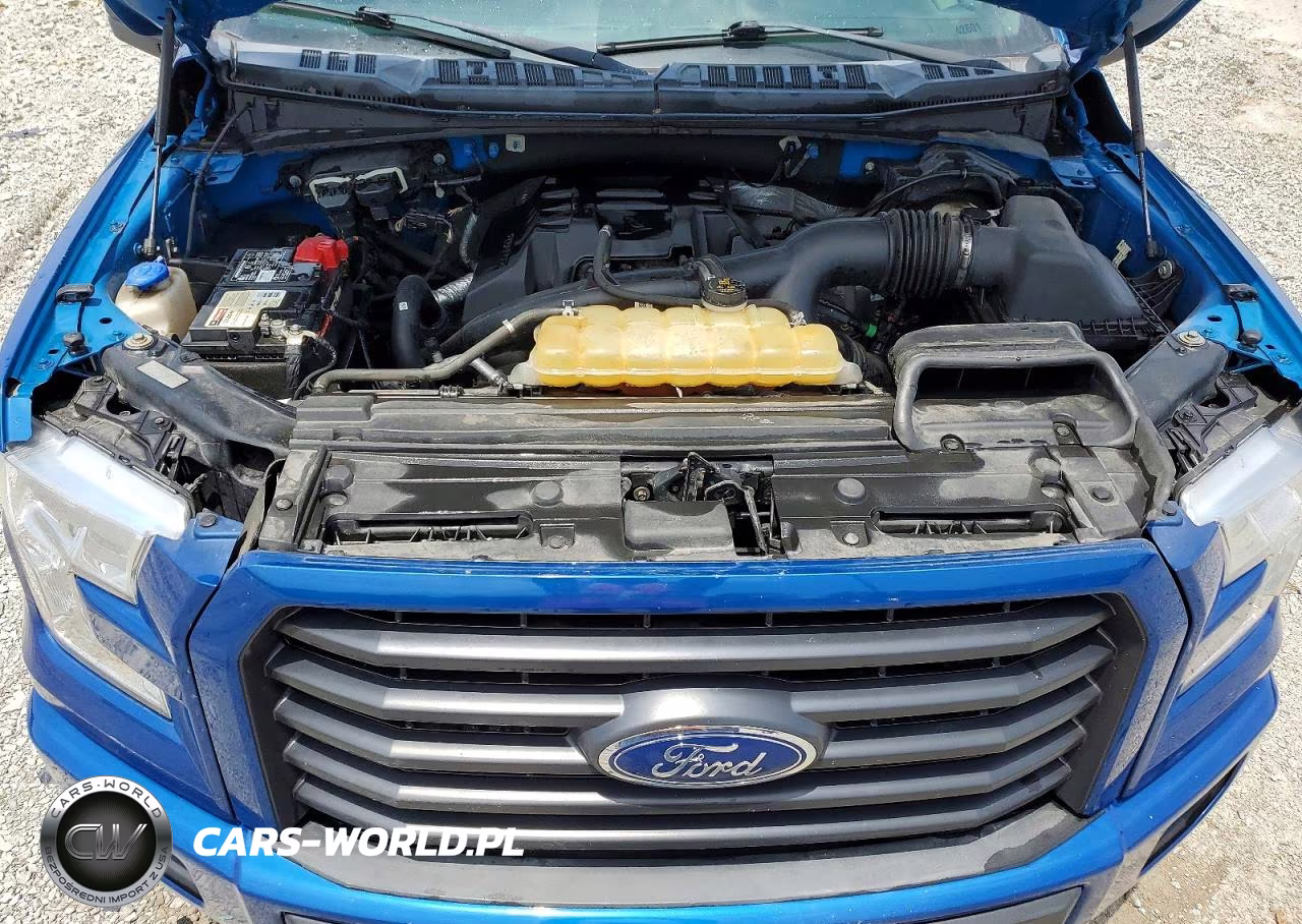2017 Ford F150 Supercrew VIN:1FTEW1EP6HFB75880 - 11