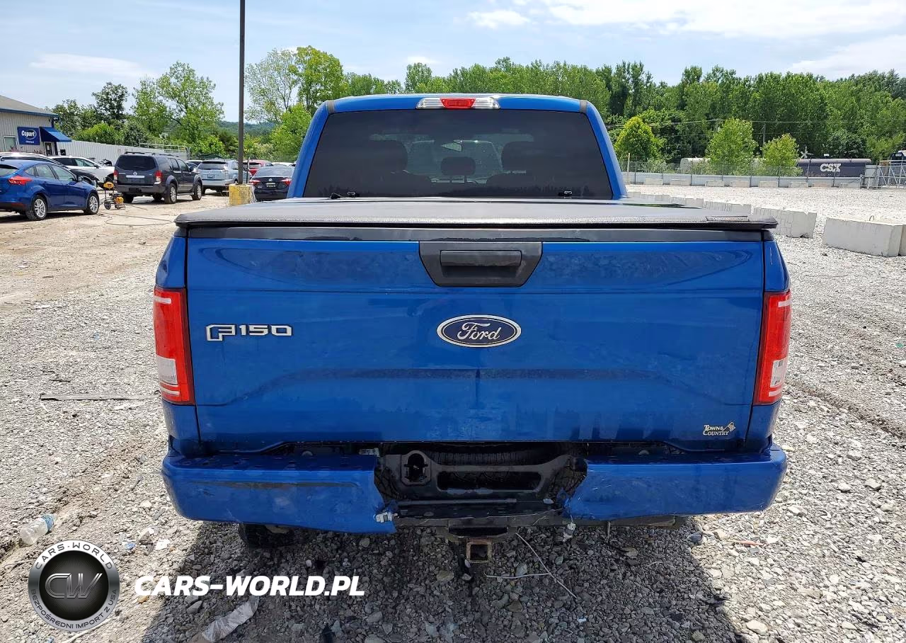 2017 Ford F150 Supercrew VIN:1FTEW1EP6HFB75880 - 6