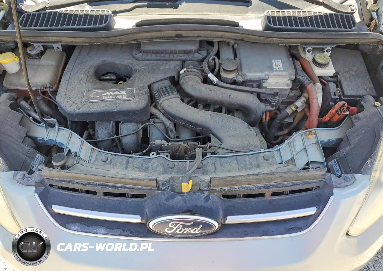 2013 Ford C-Max Premium VIN:1FADP5CU3DL512385 - 11