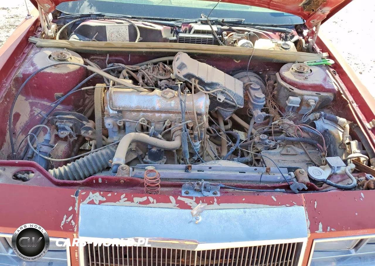 1984 Chrysler Lebaron VIN:1CSBC55C6DG155606 - 11