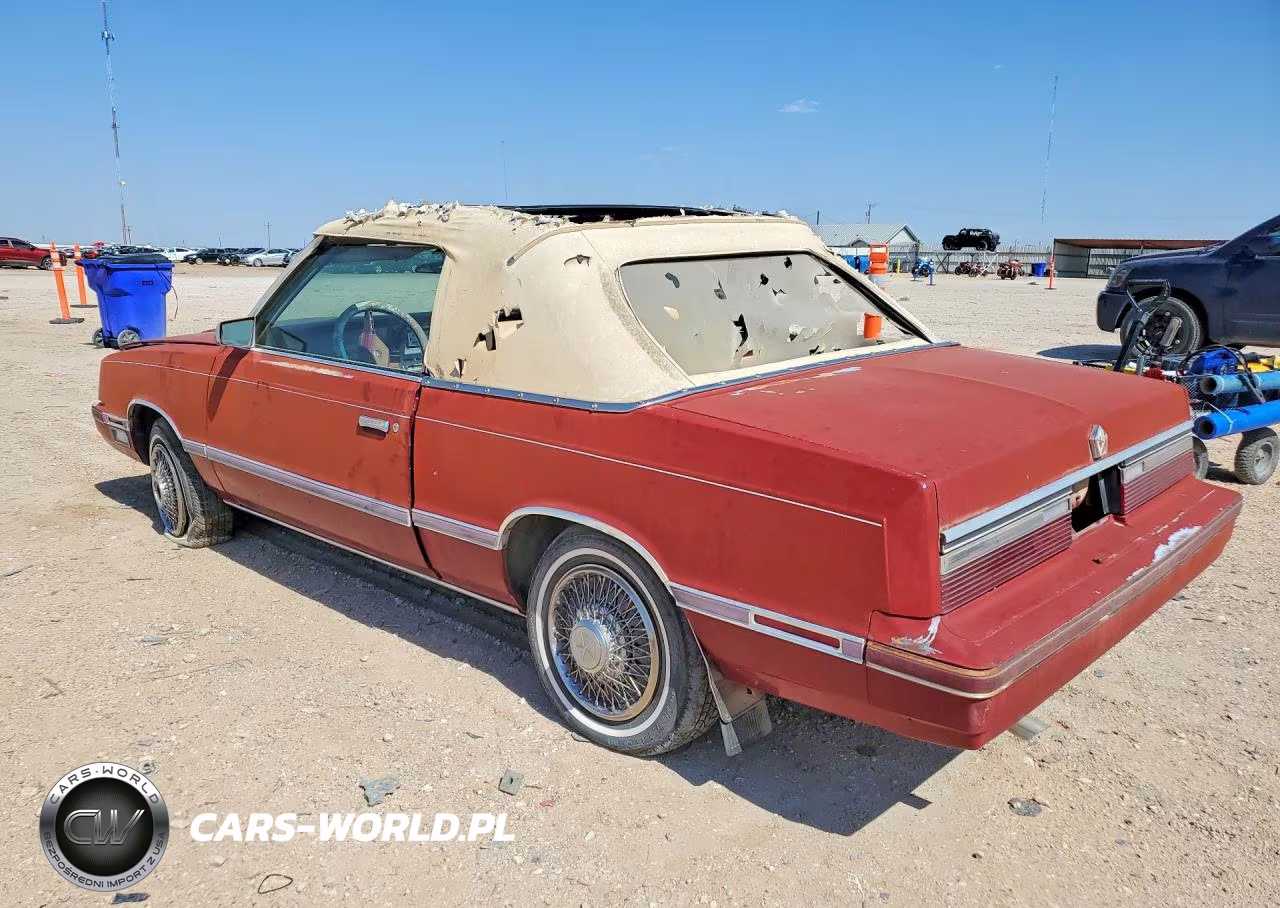 1984 Chrysler Lebaron VIN:1CSBC55C6DG155606 - 2