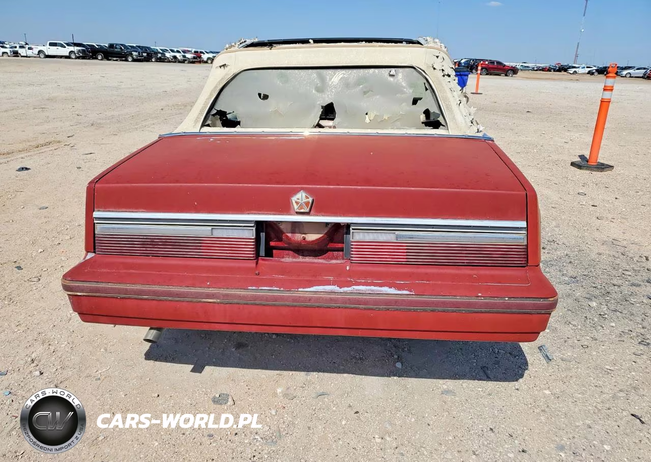 1984 Chrysler Lebaron VIN:1CSBC55C6DG155606 - 6