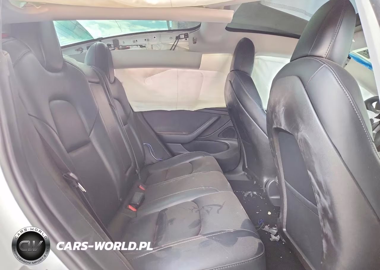 2020 Tesla Model 3 VIN:5YJ3E1EBXLF646361 - 10
